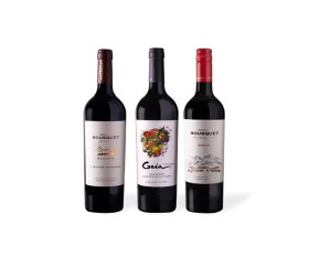 Mix de Tintos Domaine Bousquet