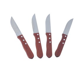 Set De 4 Cuchillos De Asado