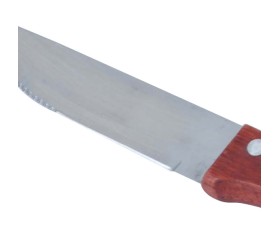 Set De 4 Cuchillos De Asado